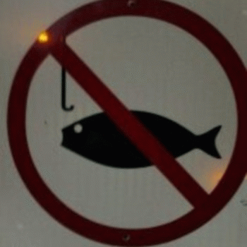 Sloth (USA-2) : Leave the Fish Alone!